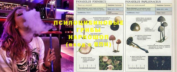 дживик Балахна