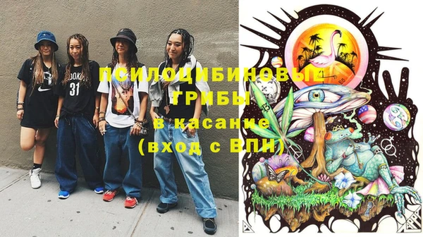 дживик Балахна