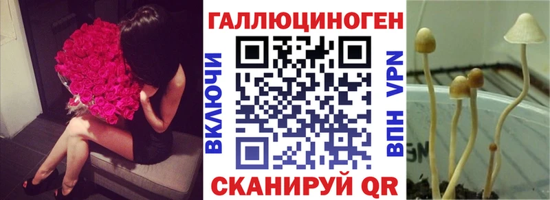 Псилоцибиновые грибы Cubensis  Выборг 